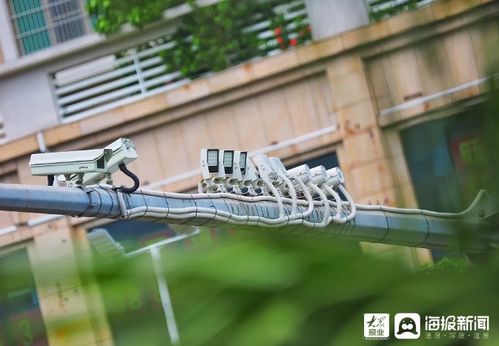 濟寧12月25日啟用15處電子監控設備，助力交通安全管理