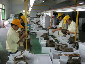 檢品工廠一站式服務 包裝、配送與家政支持一體解決方案